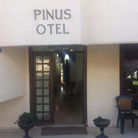 Hotell Pinus 3*